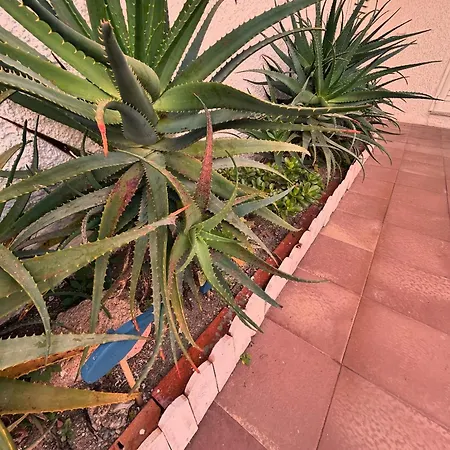 Li Pintaderi Apartman Isola Rossa